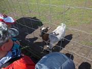 Výlet do ZOO Chleby a Labyrintária Loučeň